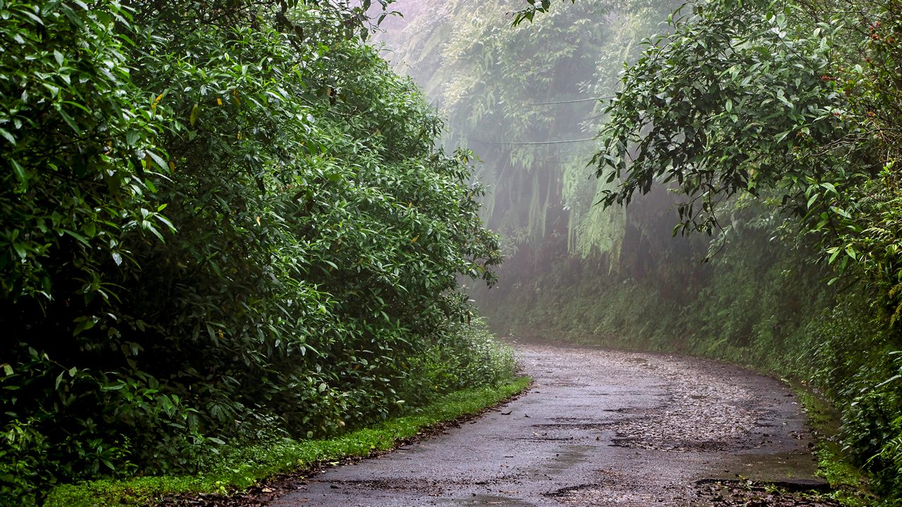 neora-valley-national-park-kalimpong-west-bengal-3-attr-hero