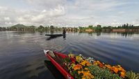 Flower boat at Nigeen Lake, Srinagar