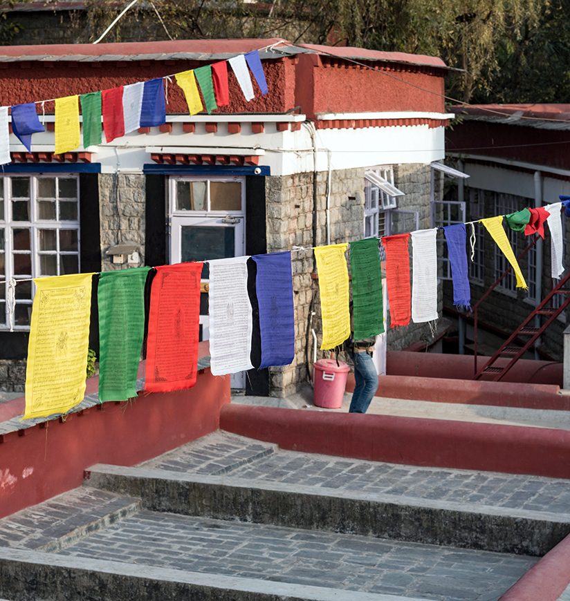 Multiple Buddhist prayer flags flying high  at Norbulingka Institute near Dharamshala, India.