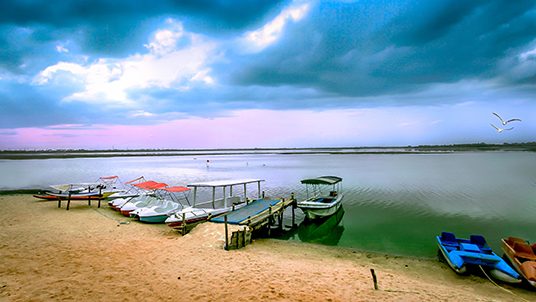 osudu-lake-with-bird-puducherry-tri-side