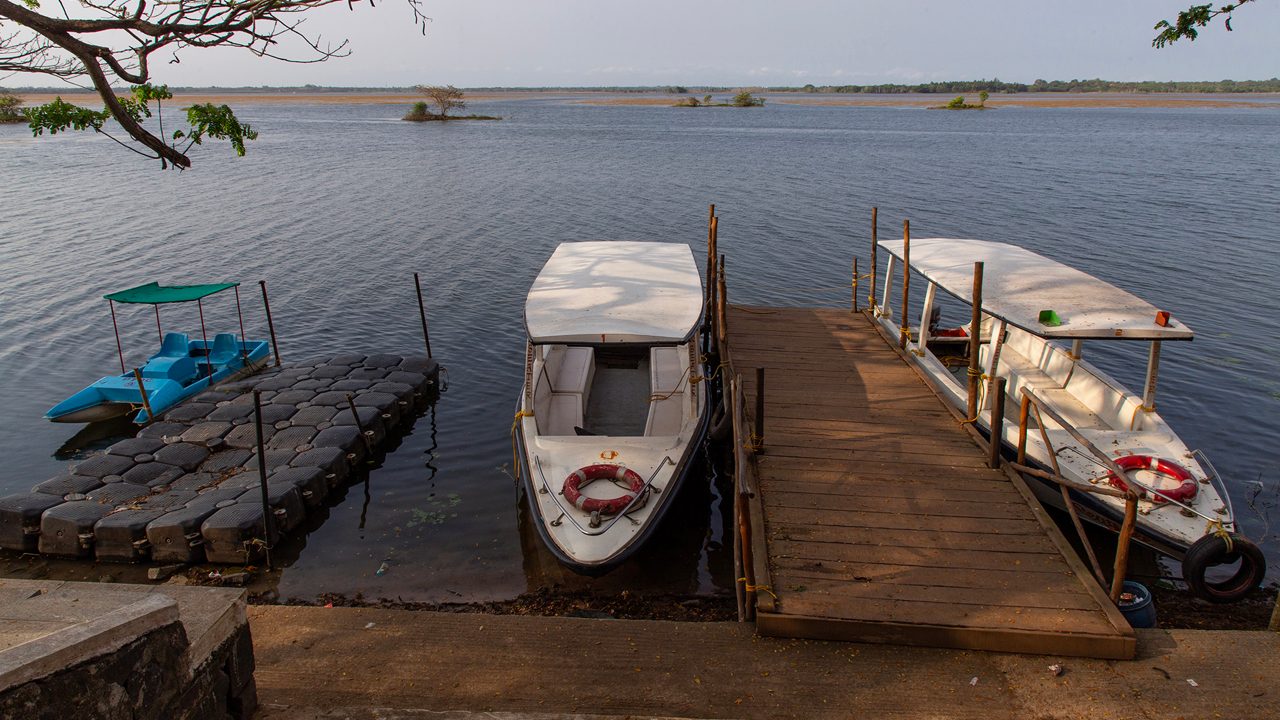 ousteri-wetland-national-park-puducherry