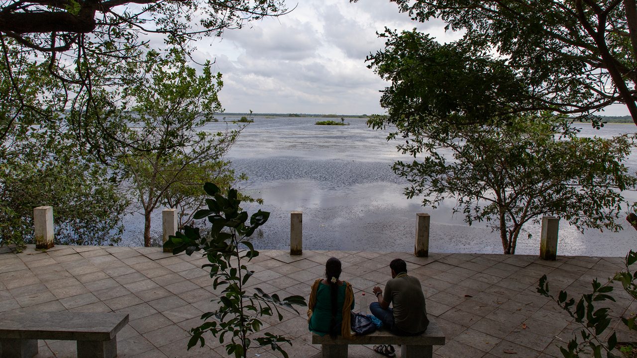 ousteri-wetland-national-park-puducherry