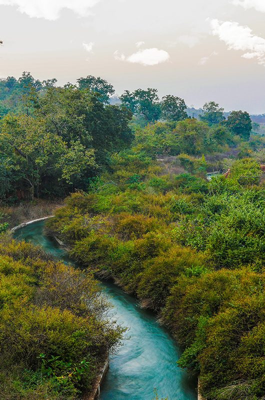 pakhal-wildlife-sanctuary