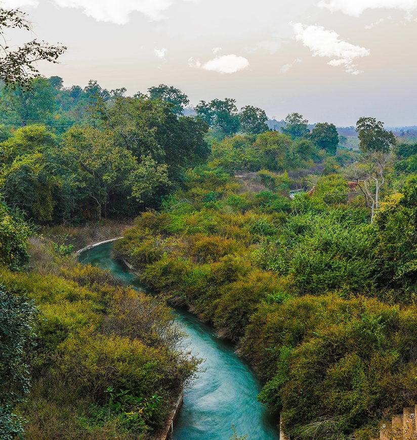 pakhal-wildlife-sanctuary