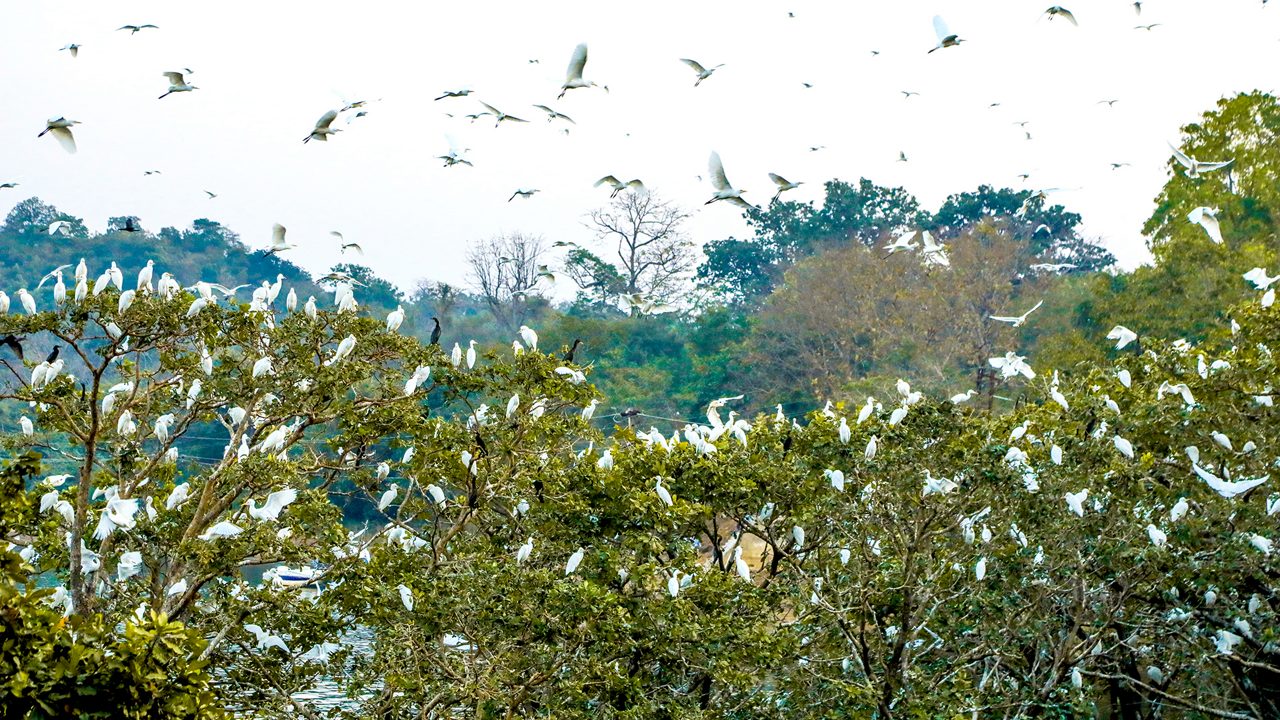 pakhal-wildlife-sanctuary-warangal-telangana-2-attr-hero