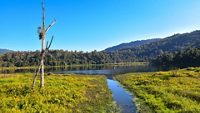 palak-lake-aizawl-mizoram-1-attr-hero