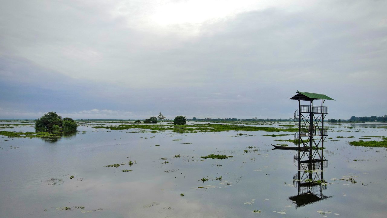 panidehing-wildlife-sanctuary-sivasagar-assam-1-attr-hero