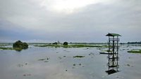 panidehing-wildlife-sanctuary-sivasagar-assam-1-attr-hero