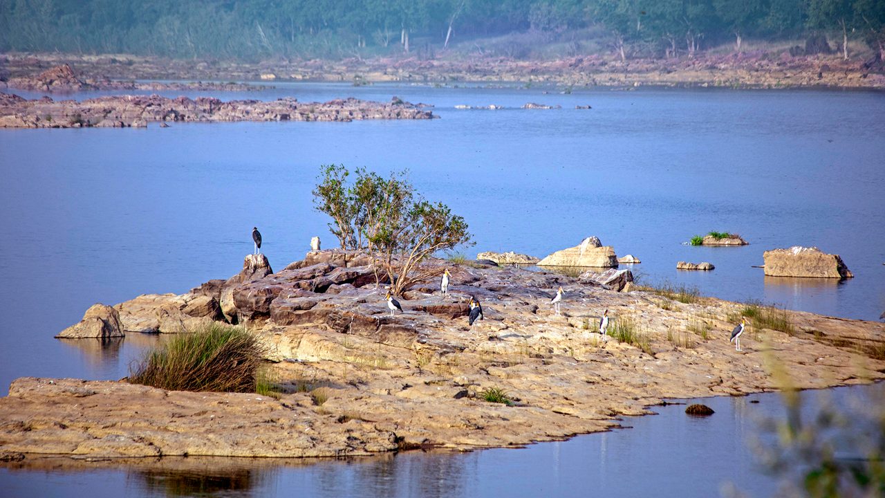 panna-national-park-khajuraho-madhya-pradesh-1-attr-hero