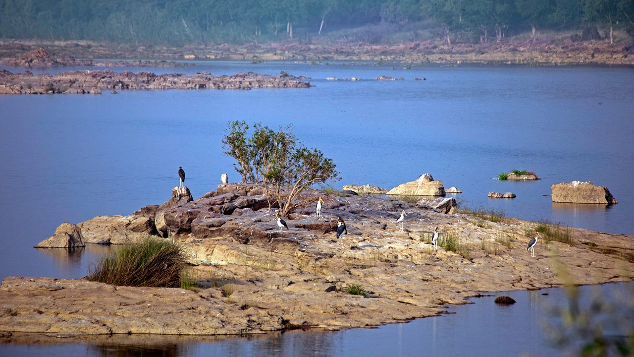 panna-national-park-khajuraho-mp-2-city-hero