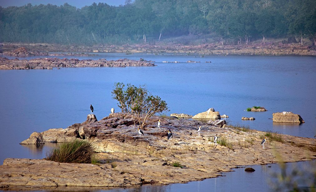 panna-national-park-rural-body