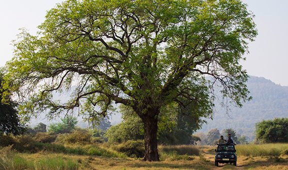 panna-wildlife-safari-2-rural-activities