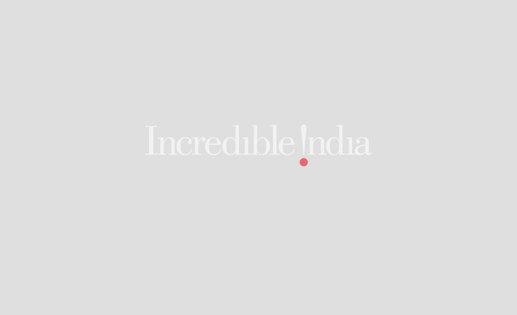 in.gov.incredibleindia.core.models.impl.ImageUtilModelImpl@7b3fdca0