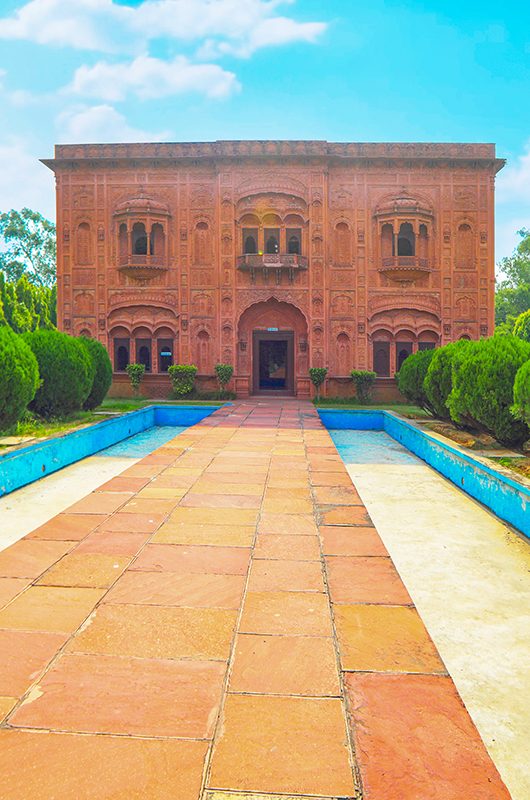 punjab-agricultural-university-museum