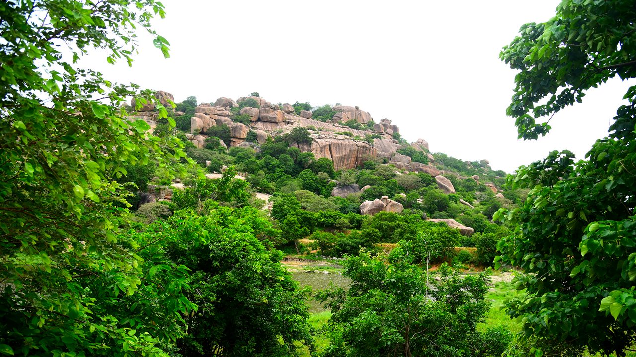 Hills Of Rachakonda Fort Telangana