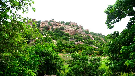 Hills Of Rachakonda Fort Telangana