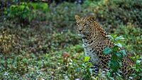 rajaji-national-park-dehradun-uttarakhand-2-attr-hero