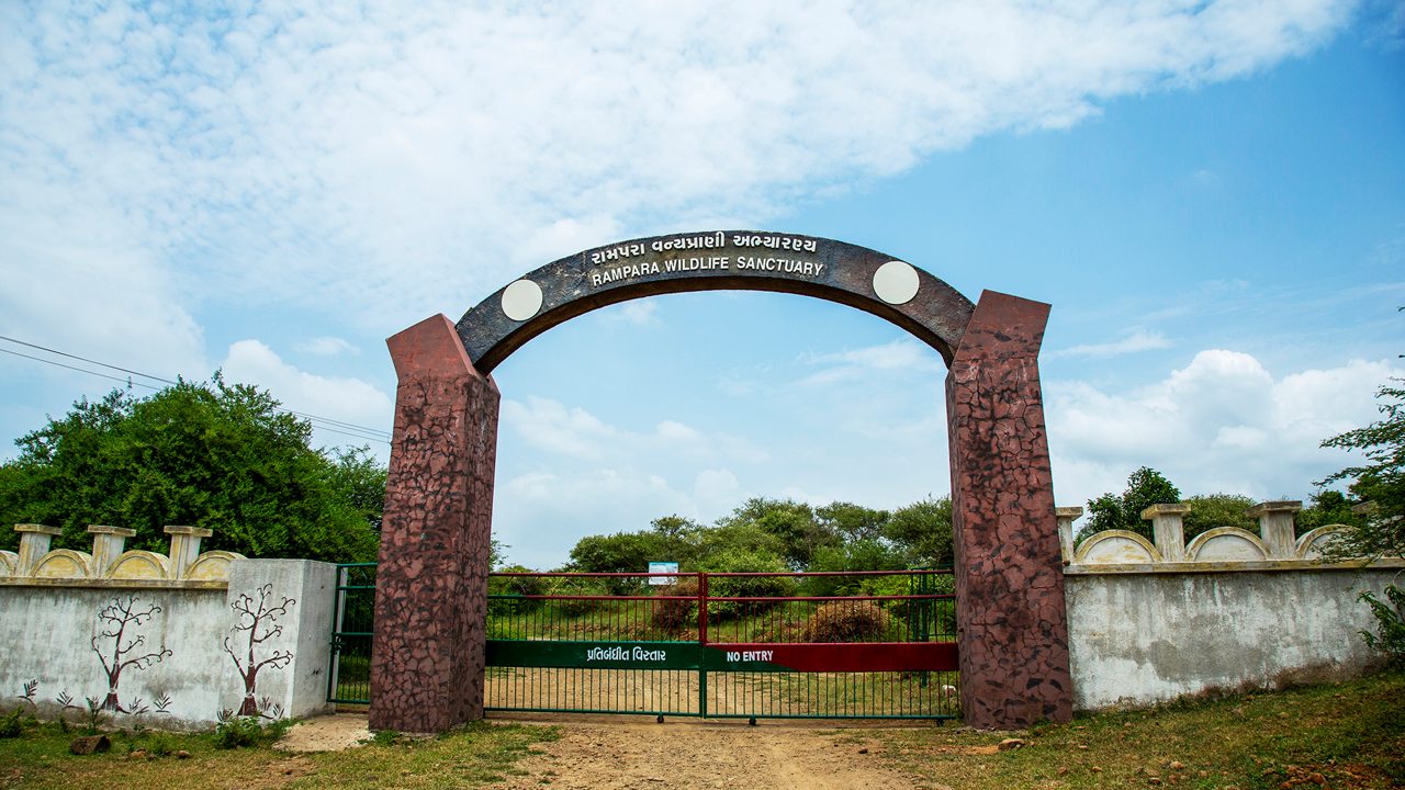 rampara-wildlife-sanctuary-rajkot-gujarat-1-attr-hero