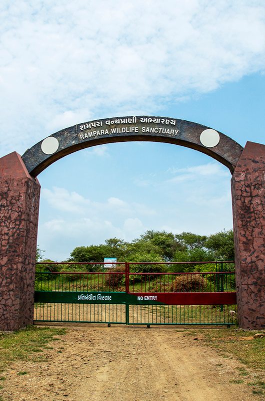 rampara-wildlife-sanctuary-rajkot-gujarat-1-attr-nearby