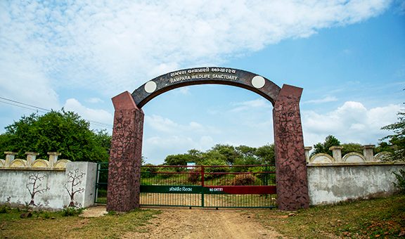 rampara-wildlife-sanctuary-rajkot-gujarat-1-attr-popular