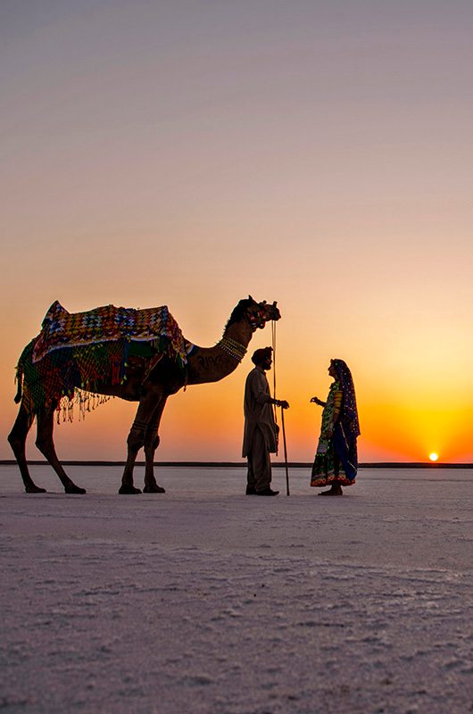 rann-of-kutch-kutch-gujarat-1-attr-nearby