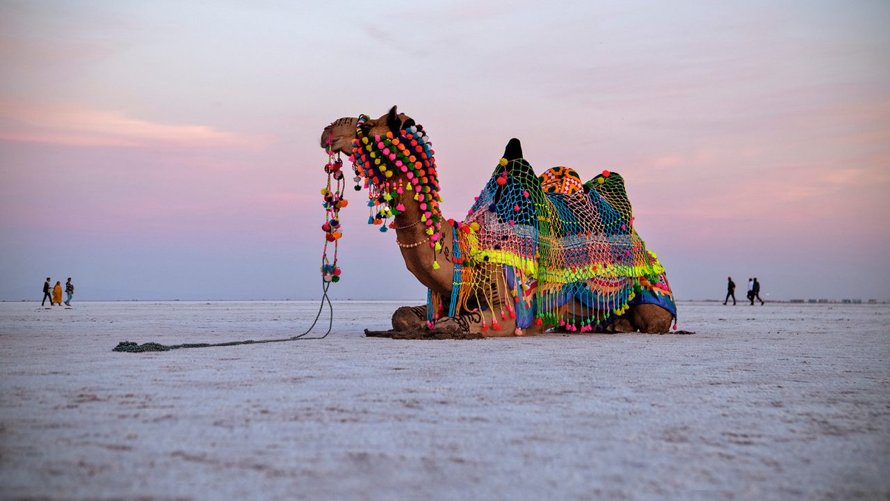 Rann of Kutch | December Destination