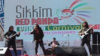 red-panda-winter-carnival