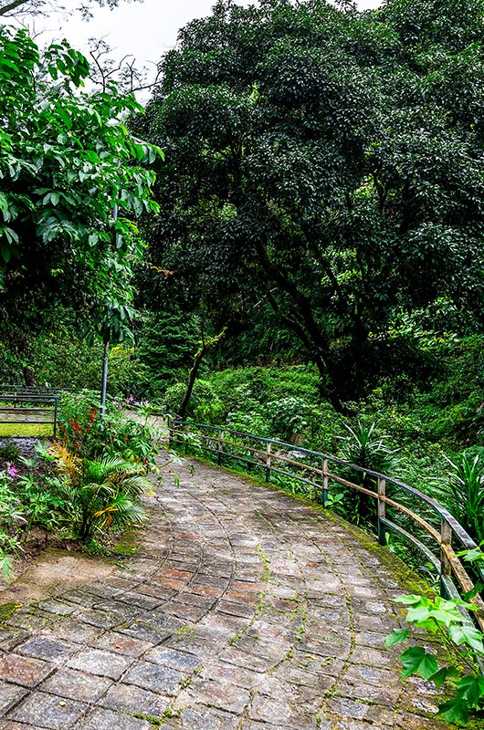 rock-garden-and-ganga-maya-park-darjeeling-west-bengal-1-attr-nearby