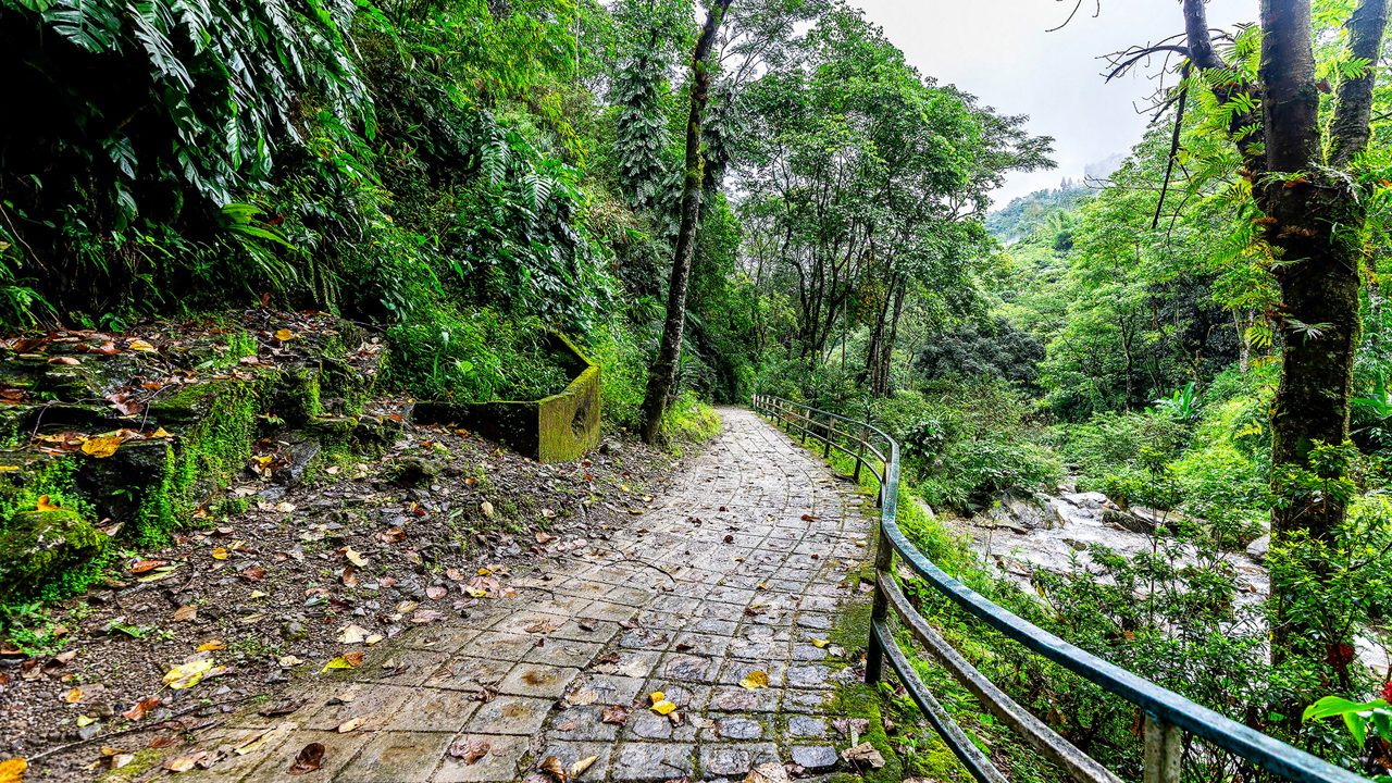 rock-garden-and-ganga-maya-park-darjeeling-west-bengal-2-attr-hero