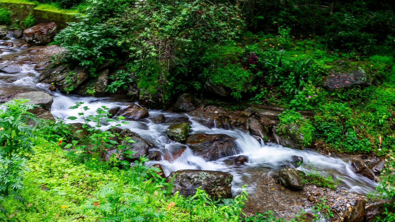 rock-garden-and-ganga-maya-park-darjeeling-west-bengal-2-musthead-hero