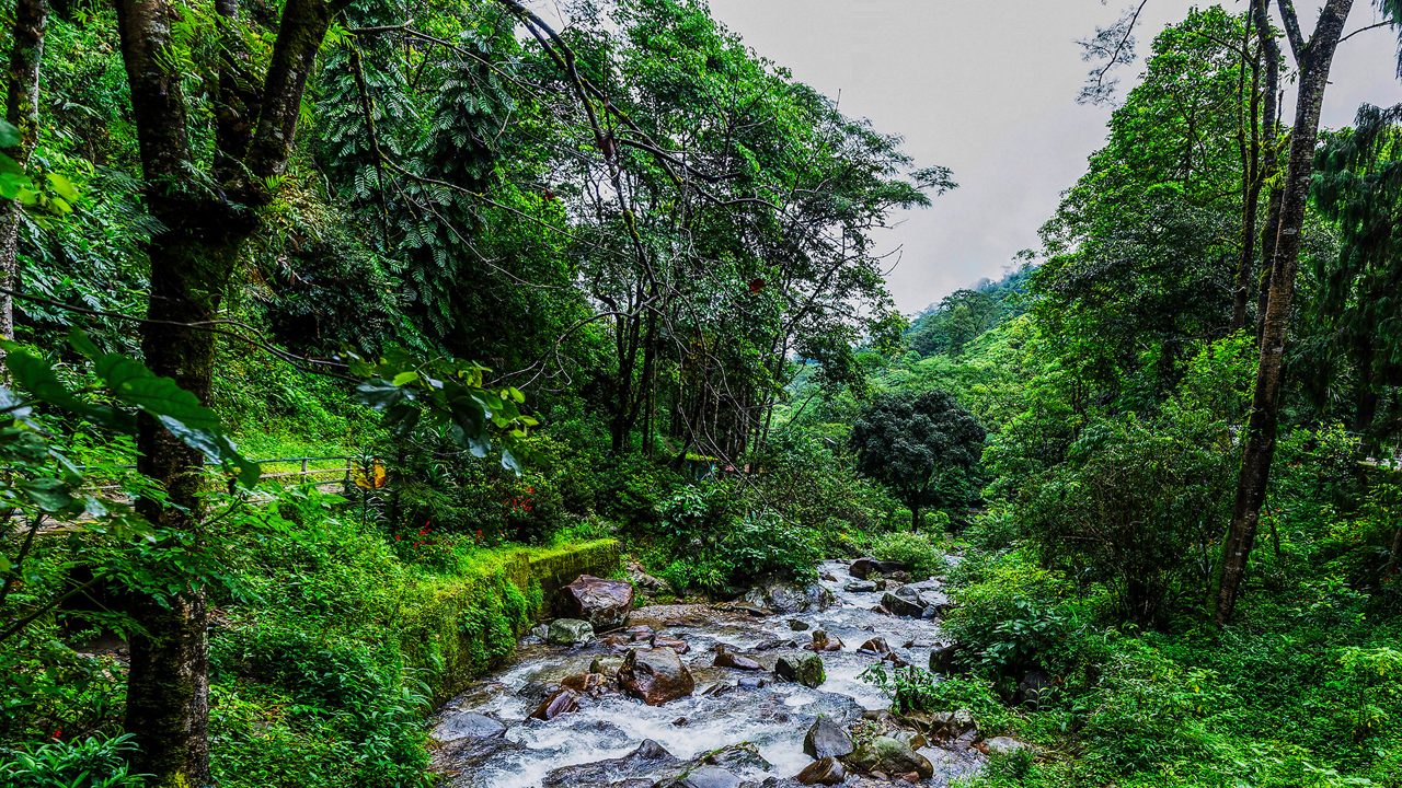 rock-garden-and-ganga-maya-park-darjeeling-west-bengal-3-attr-hero