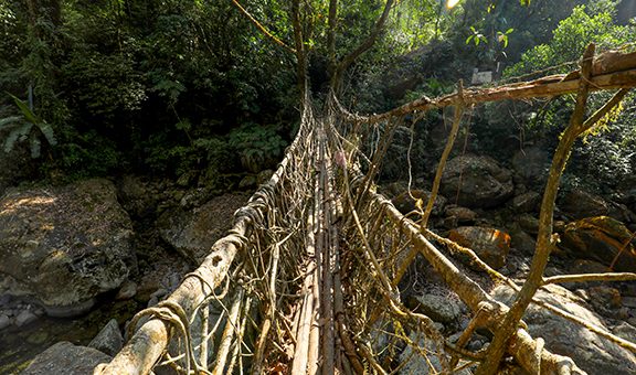 sacred-grove-rural-activity.jpg