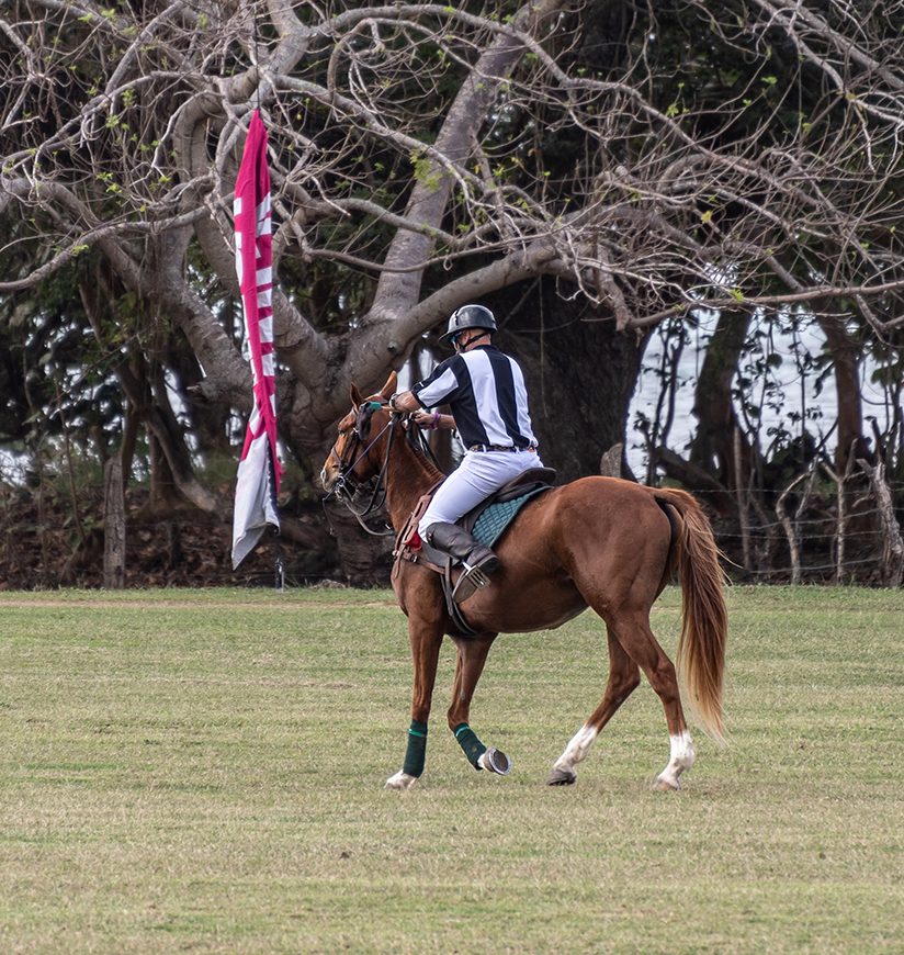 Male Polo Umpire/Referee /Official mounted on horse and riding across the field with pickup stick