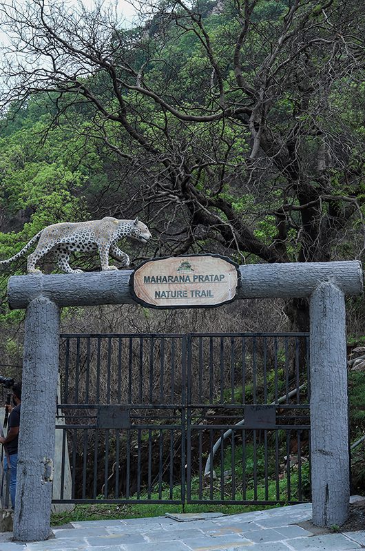 sajjangarh-biological-park