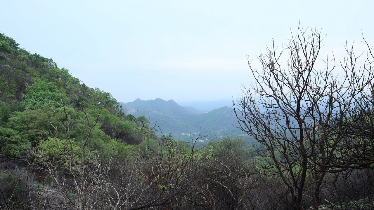 sajjangarh-biological-park-udaipur-rajasthan-1-musthead-hero