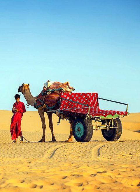 sam-sand-dunes-jaisalmer-1-city-homepage