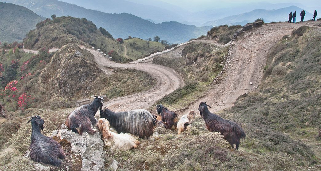 Sandakphu