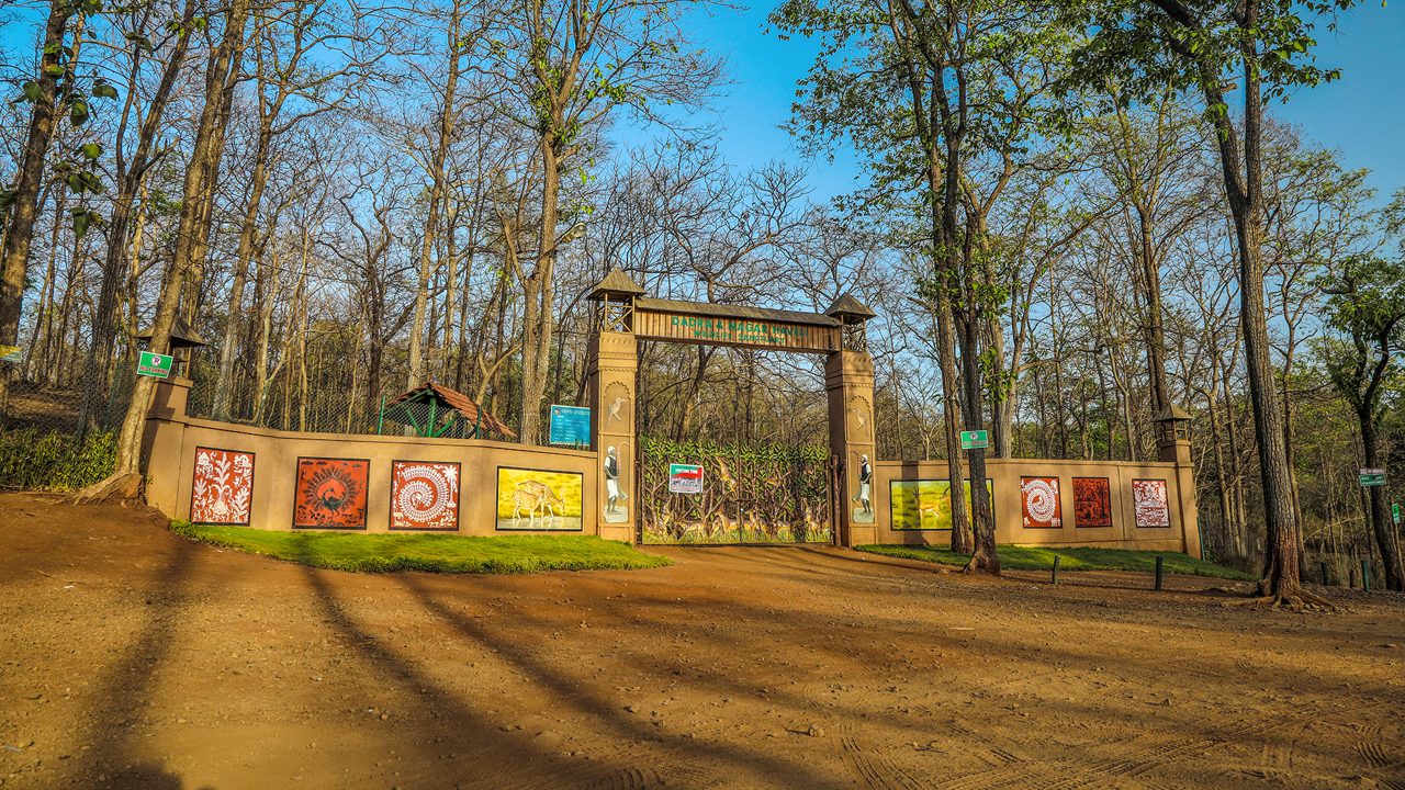 satmaliya-deer-park-silvassa