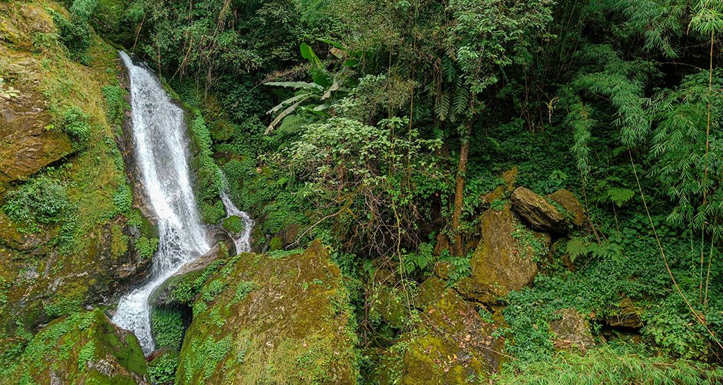 Panoramic landscape view of Butterfly Waterfalls or Seven Sister Waterfalls that changes direction seven times. Surrounded by lush forest, it is a famous tourist place near Gangtok in Sikkim, India