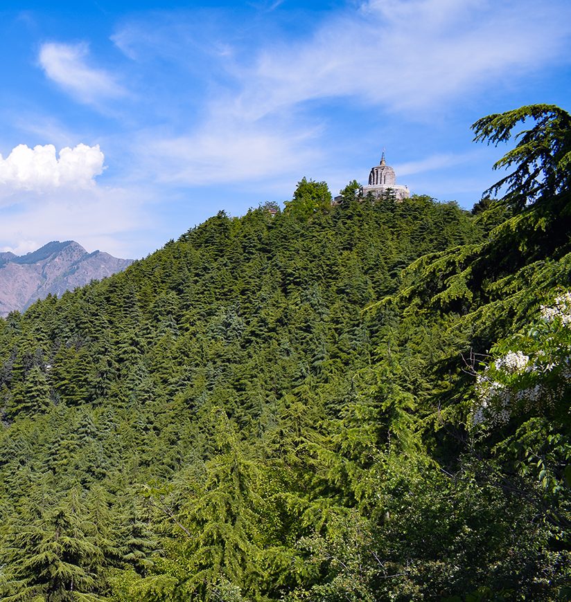 Lush green forest. Hindu temple on the top of hill.The temple is at a height of 1,000 feet above the plain and overlooks the city of Srinagar. Shankaracharya temple is hindu temple.; Shutterstock ID 1393507493; purchase_order: -; job: -; client: -; other: -