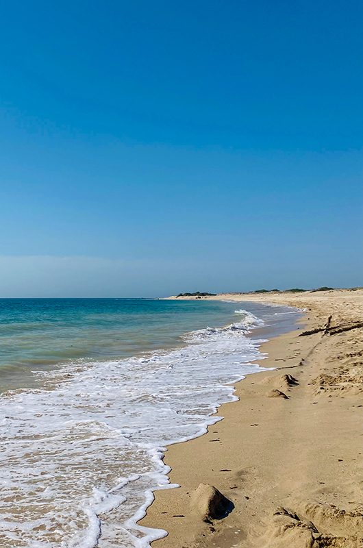 Shivrajpur beach blue flag beach at dwarka