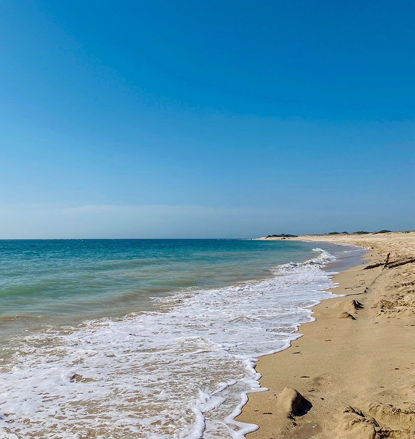 Shivrajpur beach blue flag beach at dwarka