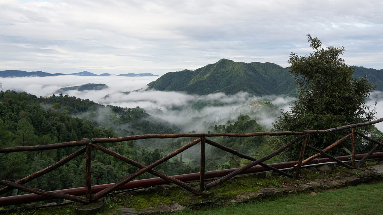 Green Mountains after rain in Shoghi Shimla India