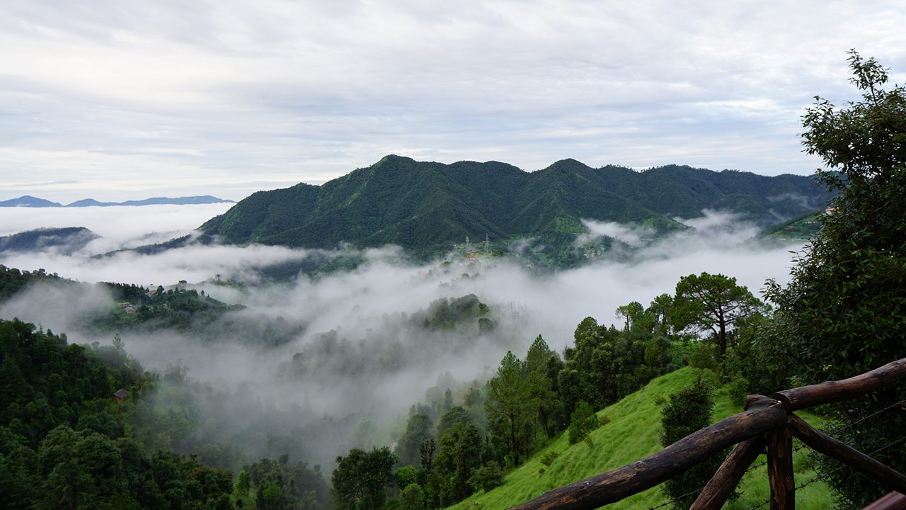 Green Mountains after rain in Shoghi Shimla India