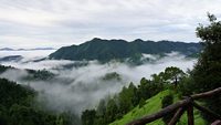 Green Mountains after rain in Shoghi Shimla India