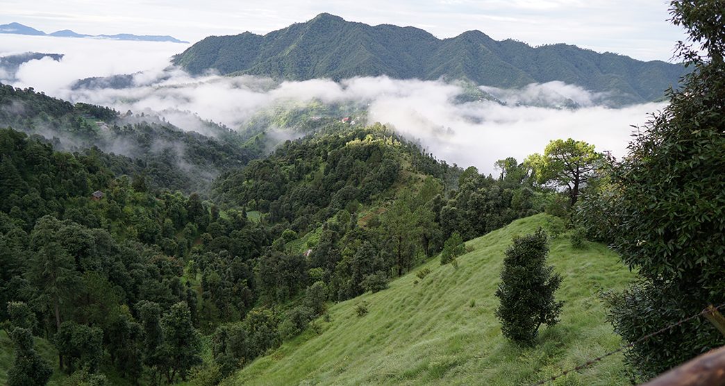 Green Mountains after rain in Shoghi Shimla India