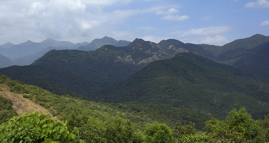 Silent Valley National Park, Kerala. Located in the Nilgiri Hills, Palakkad District in Kerala, South India