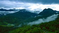 silent-valley-palakkad-kerala-hero