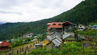 Some Home and Homestay at Sillery Gaon with Mountain View