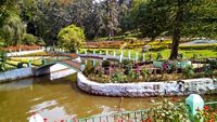 Sims park in ooty